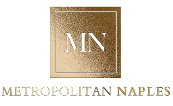 November 2022 Newsletter Metropolitan Logo