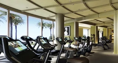 ritz carlton residences naples amenities gym