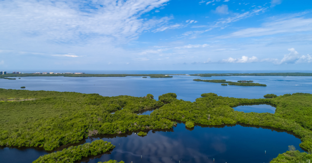 bonita-springs-estero-bay-new-pass-7-of-7-scaled mark