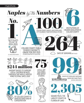 naples by the numbers graphic (1)