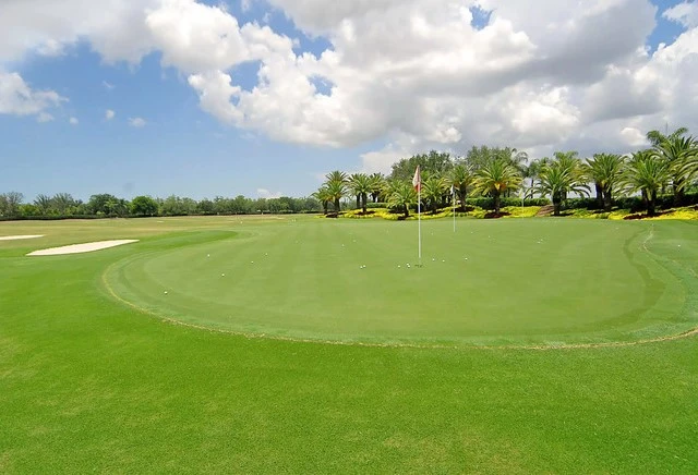 Quail West Golf & Country Club Putting Green, Naples Florida