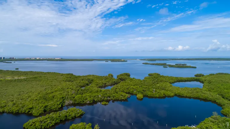 Views of Estero Bay, Estero FL