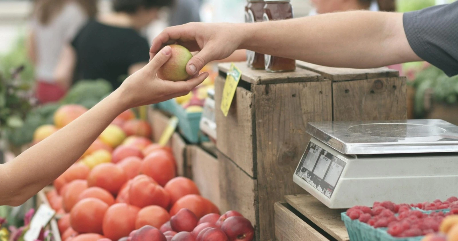 farmers markets in naples fl