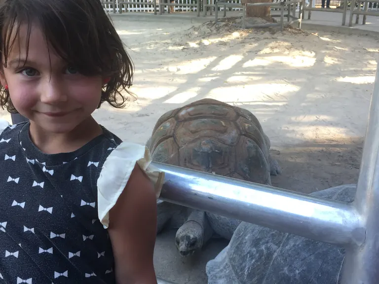 child at naples zoo with a gopher tortoise, naples florida